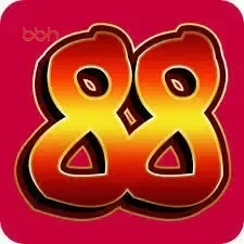 kelinci88